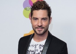 David Bisbal