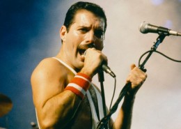 Freddie-Mercury