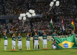 Fans of Atletico Nacional Pay Tribute To Brazilian Soccer Team Chapecoense Following Airplane Crash